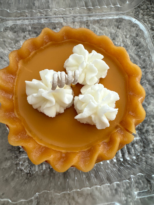 Spice Pumpkin Pie